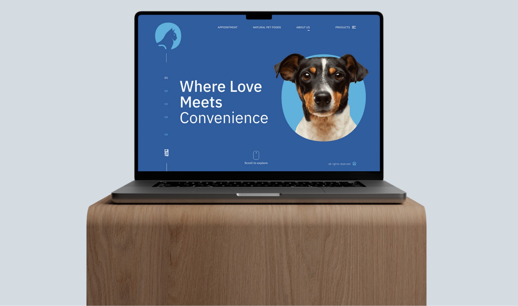 Pets Loot — website design