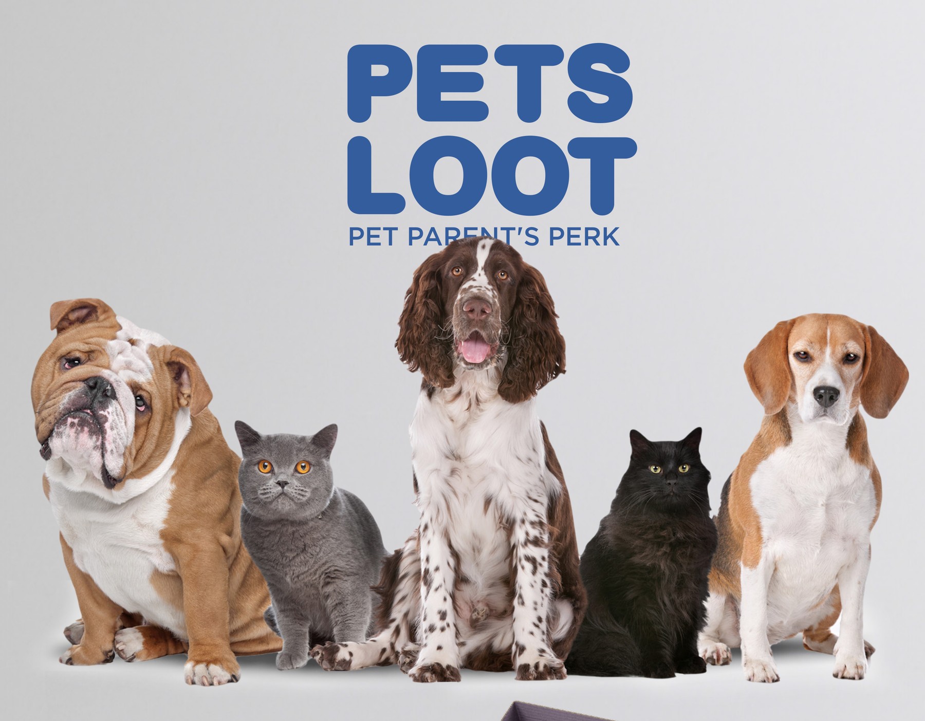 Pets Loot — brand mark and pet photography